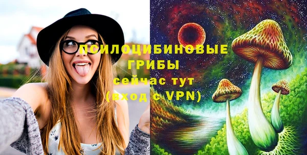 сатива Волосово
