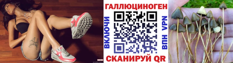 Галлюциногенные грибы GOLDEN TEACHER  Купить  Уржум 